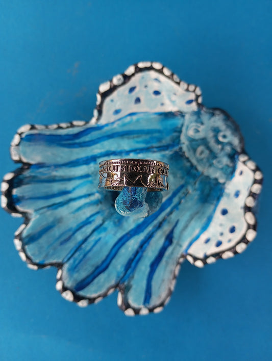 Coral reef crown